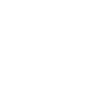 Panduit partner logo