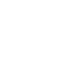 Pheonix partner logo